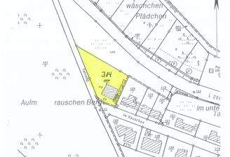 Grundstück Döttesfeld_005.jpg