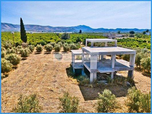 a9175c93d5844a83917e6929da3e458d-original