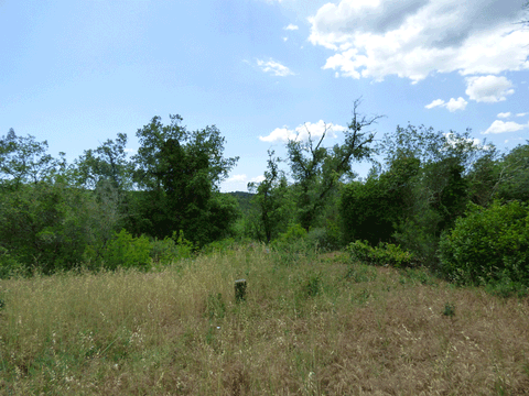 FAYENCE Häuser, FAYENCE Haus kaufen