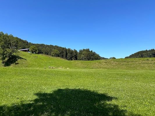 Ausblick von nördlichen Grundstücksbereich ins Grüne
