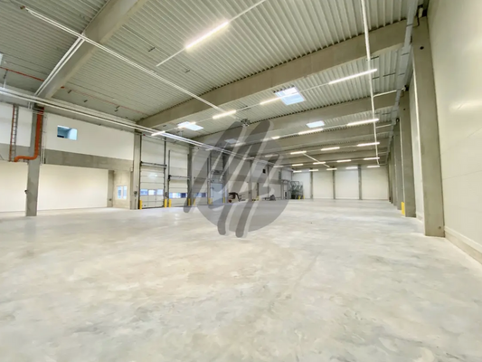 INFOS UNTER: 06171-586000