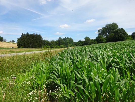 große Ackerfläche