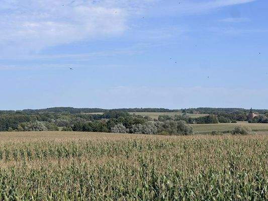 Ausblick vom Dachgeschoss