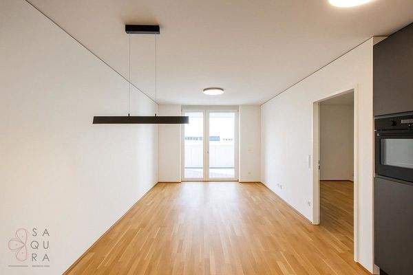 Image 2025-06-20 at 16.17.32