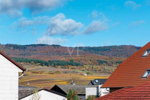 Blick in die Weinberge