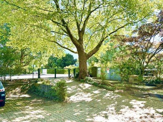 Hofeinfahrt und Stellplätze