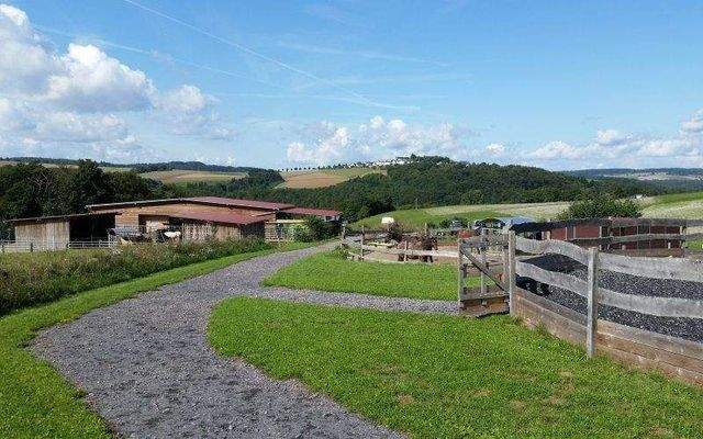 20140820_105639-lxwqtnwvldl3s72dxa0q2pz0zwagtmi911