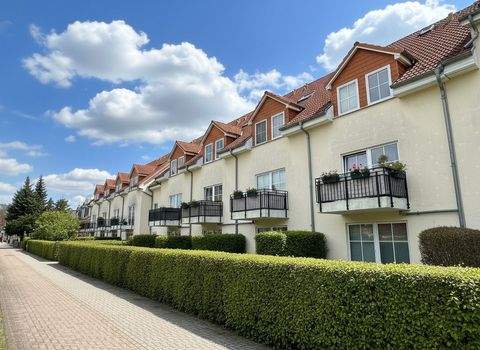 Greifswald Wohnungen, Greifswald Wohnung kaufen