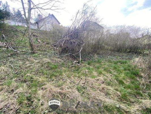 4 Baugrundstück in Königstetten