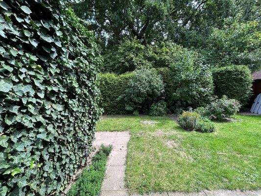 20250808_105231220_iOS