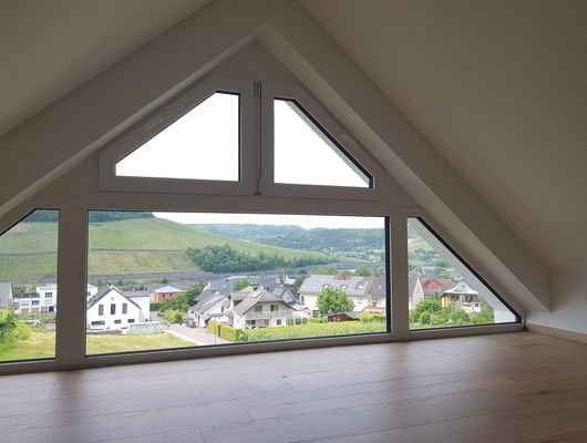 Aussicht auf das Dorf und die Mosel