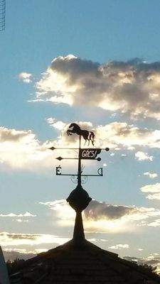 WhatsApp Bild 2025-10-07 um 14.54.33_5ec35c82