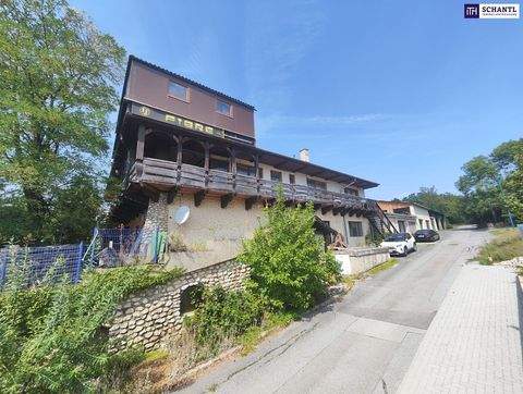 Ameis Wohnungen, Ameis Wohnung kaufen