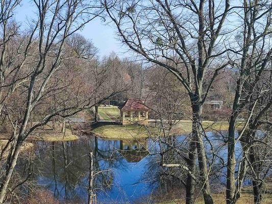 Blick in den Schlosspark