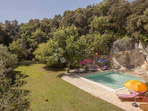 Center Häuser, Center Haus kaufen