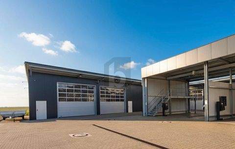 Westerheim Halle, Westerheim Hallenfläche