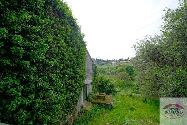 Rif 1462(Copy24).jpg