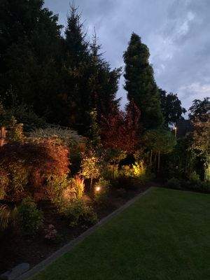 Sommerimpression 2025