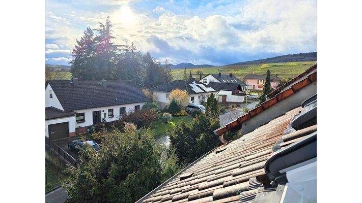 2.OG: Weinberge, Pfäzer Wald