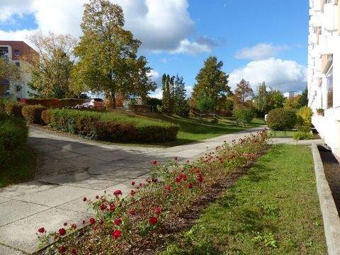 Oschatz Wohnungen, Oschatz Wohnung mieten