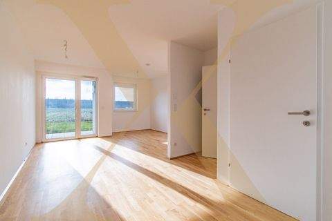 St. Pölten Wohnungen, St. Pölten Wohnung mieten