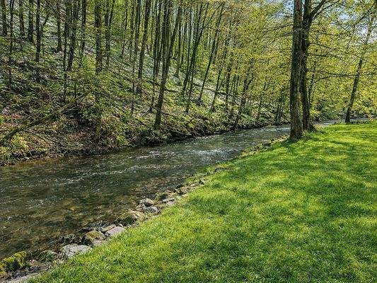 angrenzender Bachlauf