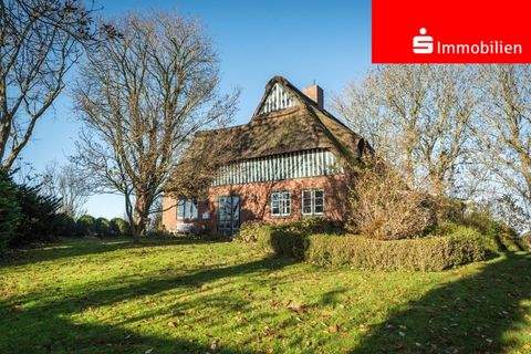 Wewelsfleth Häuser, Wewelsfleth Haus kaufen