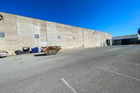 Beli Manastir Büros, Büroräume, Büroflächen 