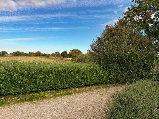 Willkommen auf dem Land.