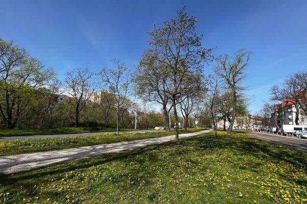 Grünfläche Staufenbergallee