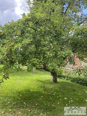 Ansicht von Norden (16)