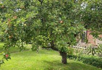 Ansicht von Norden (16)