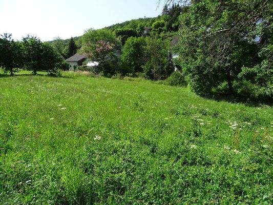 Gartengrundstück Rtg. Haus.JPG