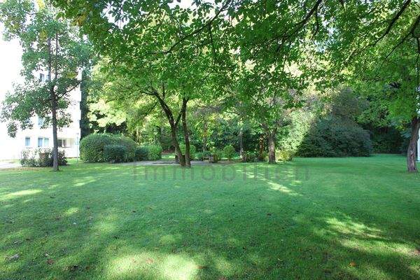 Gemeinschaftsgarten 1