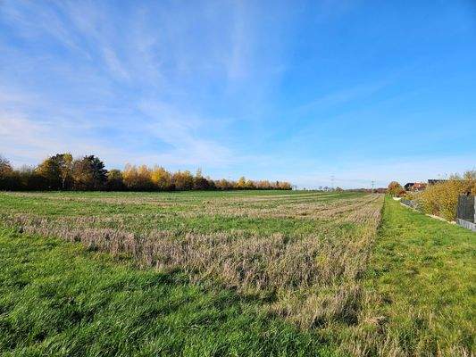 Schmedenstedt (2).jpg