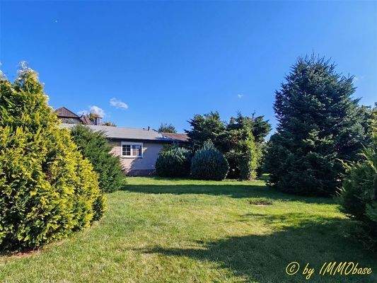 .... und zum Genießen