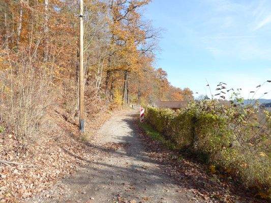 Zufahrtsstraße -Unterm Hain-