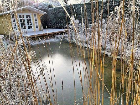 Teich, Gartenhaus, Terrasse