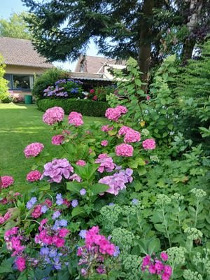 SOMMERFOTOS 2024