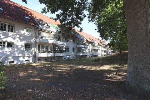 Ludwigslust Wohnungen, Ludwigslust Wohnung mieten