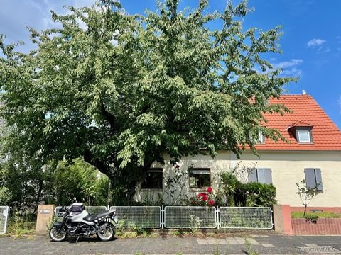 Landau in der Pfalz Häuser, Landau in der Pfalz Haus kaufen