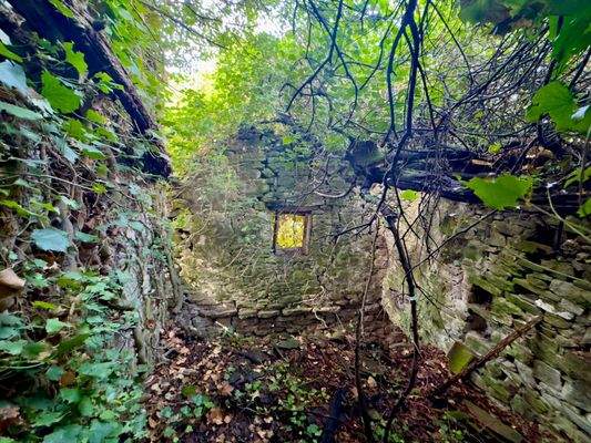 AP976_25 TERRA ITALIA IMMOBILIEN_TERRA ITALIA IMMO