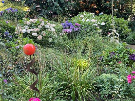 Garten 4