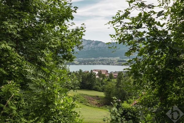 Ausblick von der Zufahrtsstraße