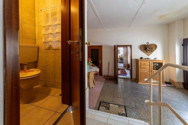 EG Flur/ links Zugang über Stufen zum Wohnbereich (WC)