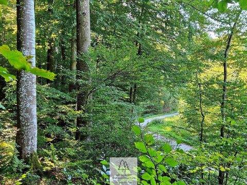 Baierbrunn Renditeobjekte, Mehrfamilienhäuser, Geschäftshäuser, Kapitalanlage