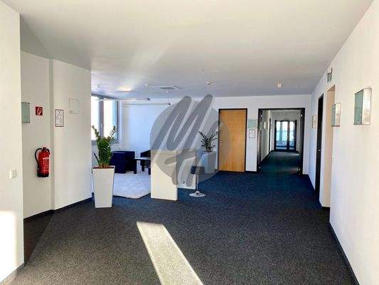 INFOS UNTER: 06171-586000