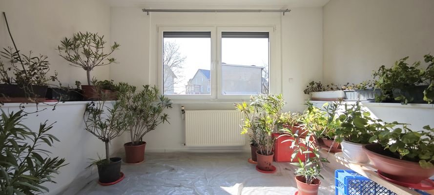 EG - Wohnraum 4 (1)