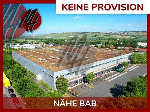 Nieder-Olm Halle, Nieder-Olm Hallenfläche