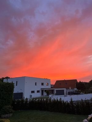 Ansicht1